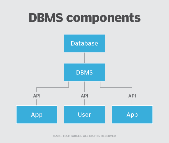 Database Management System Components